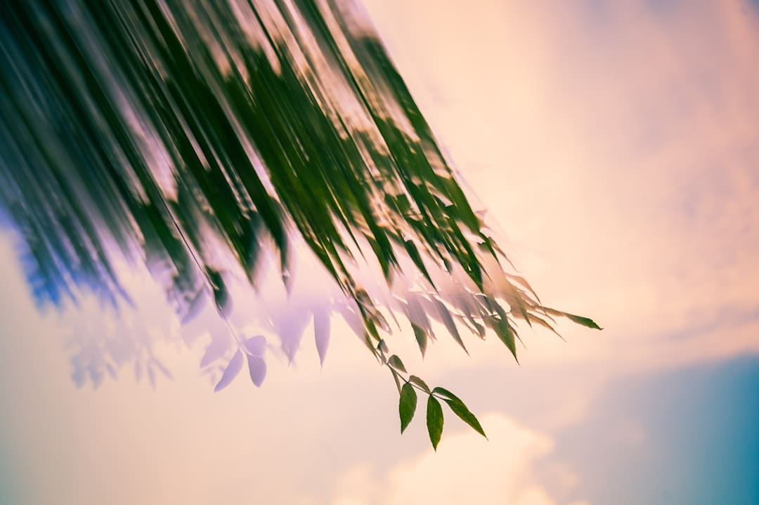 俄罗斯发起大规模突击!泽连斯基呼吁加强对俄制裁